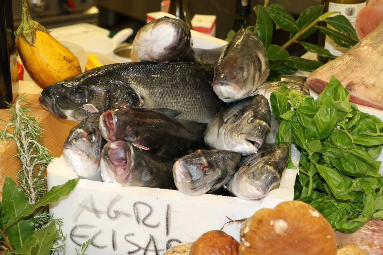Agrihotel Elisabetta Collemezzano Εξωτερικό φωτογραφία